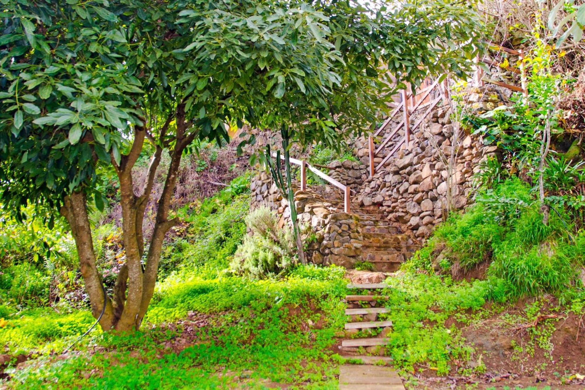 Zenda De Fontanales Villa Moya  Luaran gambar